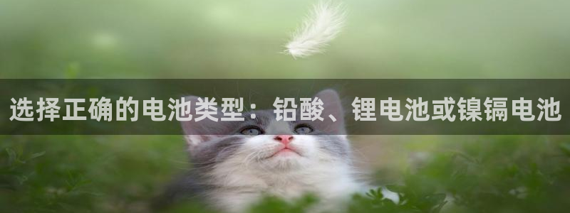 tp数字钱包可以安装到电脑吗安全吗