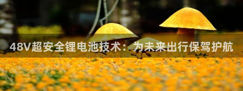 下载tp钱包并安装