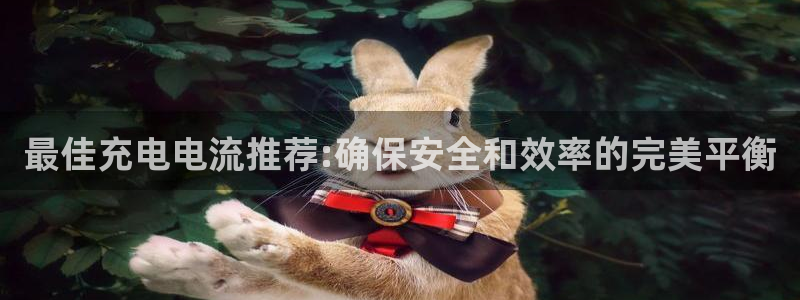 tp钱包如何上币