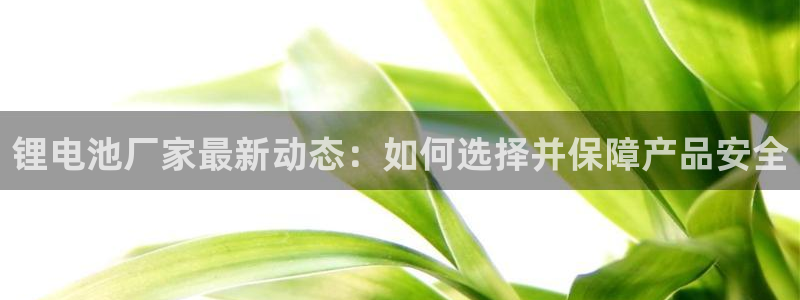 tp钱包中国