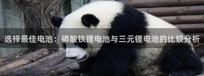 tptp下载官方安装-tptp下载官方版
