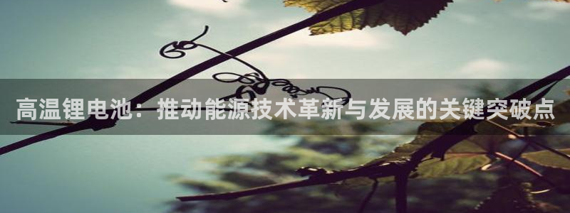 TP冷钱包下载后打不开