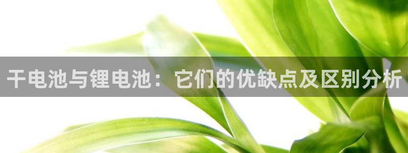 tp钱包买u全部过程视频
