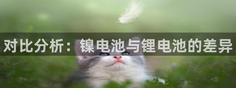 tp钱包app官方下载安卓最新版本领