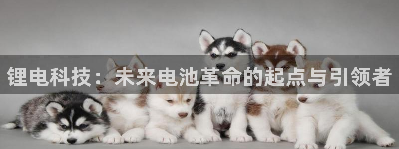 tpaptap下载