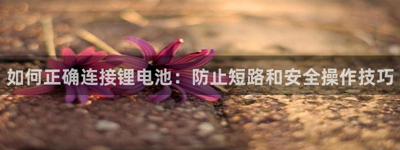 tp钱包卸载了怎么找回