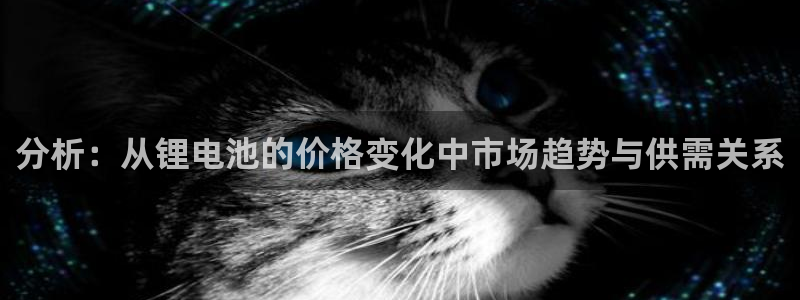 tp钱包怎么兑换币