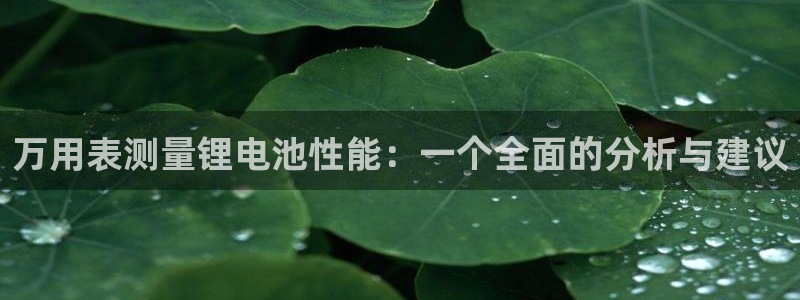 TP官方下载安卓最新版本2024