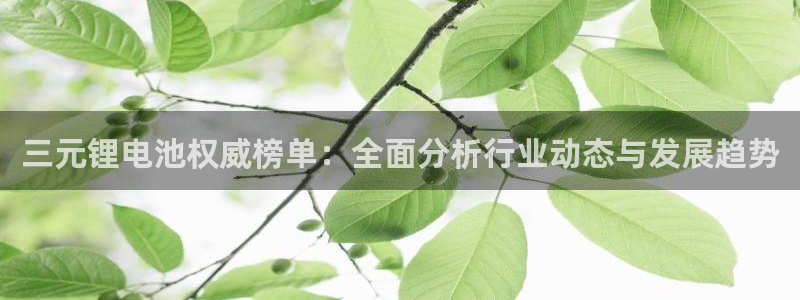 tp钱包清退