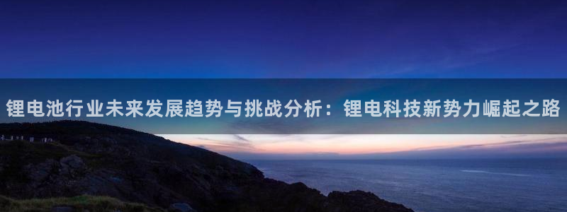 tp钱包怎么下载app：锂电池行业未来发